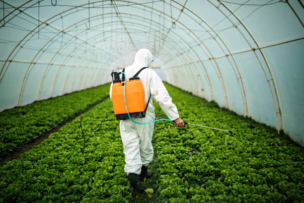 Pest Control Cost in Chesterfield, MO